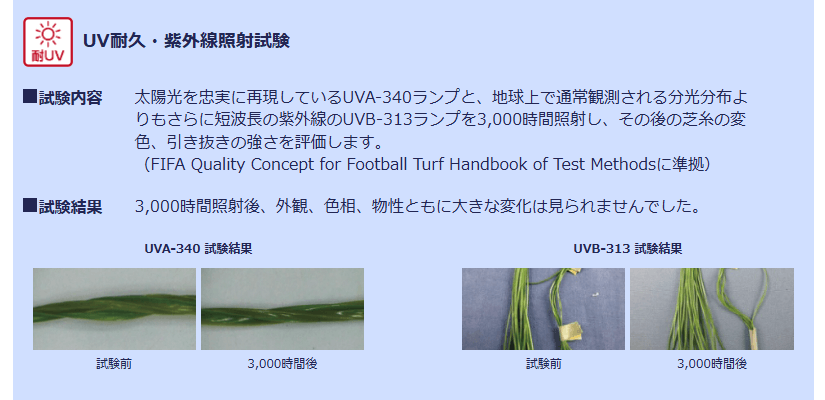 ユニオンビズ（メモリーターフ）の画像