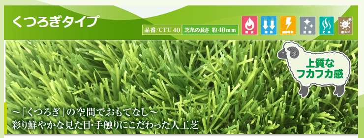 PAEグローバル（クローバーターフ）の画像