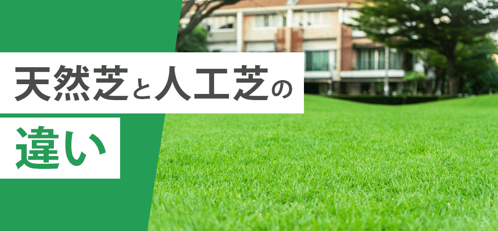 天然芝と人工芝の違いの見出し画像